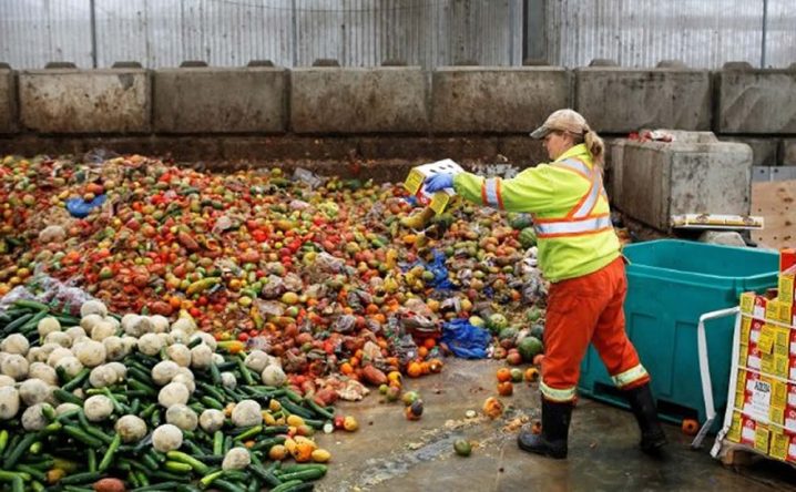 Gaspillage alimentaire : des produits, solutions et idées innovantes et écolos