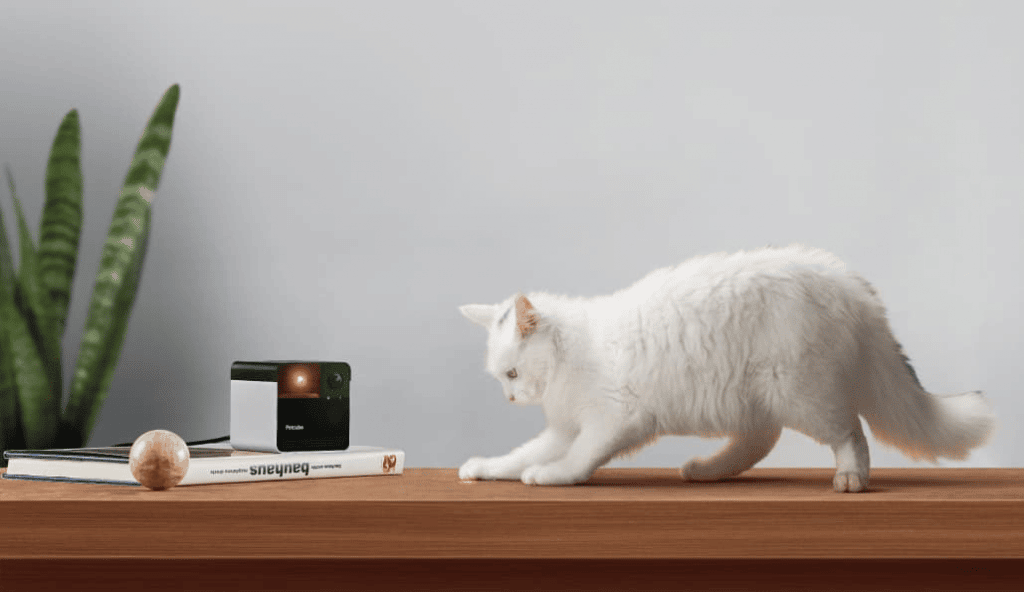 15 Meilleurs Objets Innovants Pour Le Bien Etre De Votre Chat