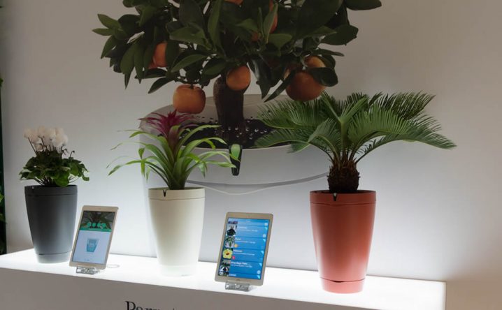 meilleurs capteurs pour plantes innovation connecte