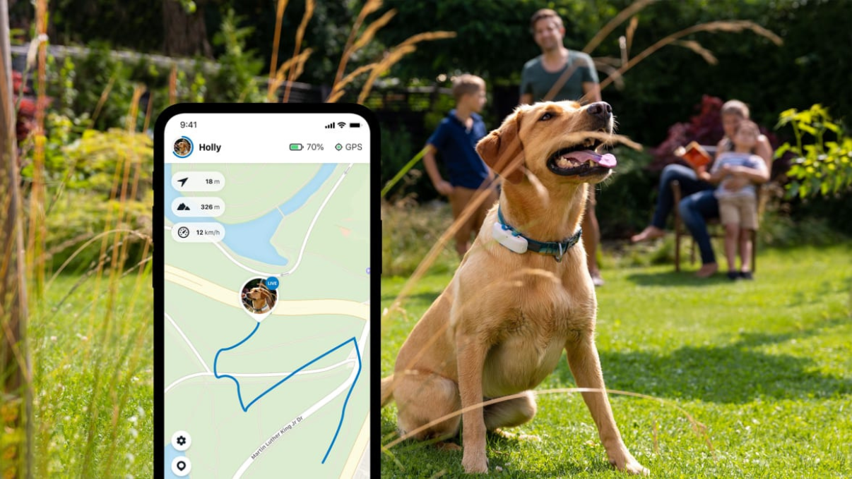 Tractive GPS collier chien