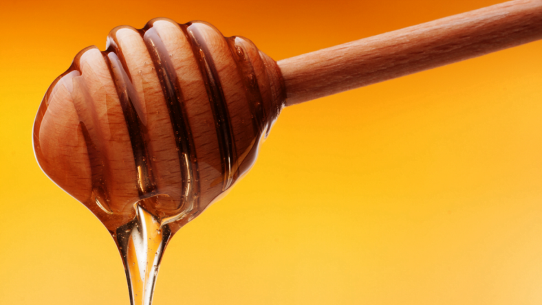 Les processeurs du futur seront-ils fabriqués à base de miel ?