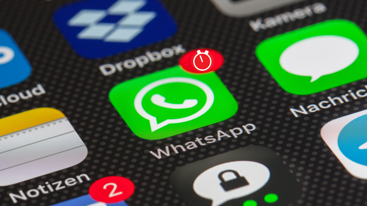 WhatsApp notification vue unique message
