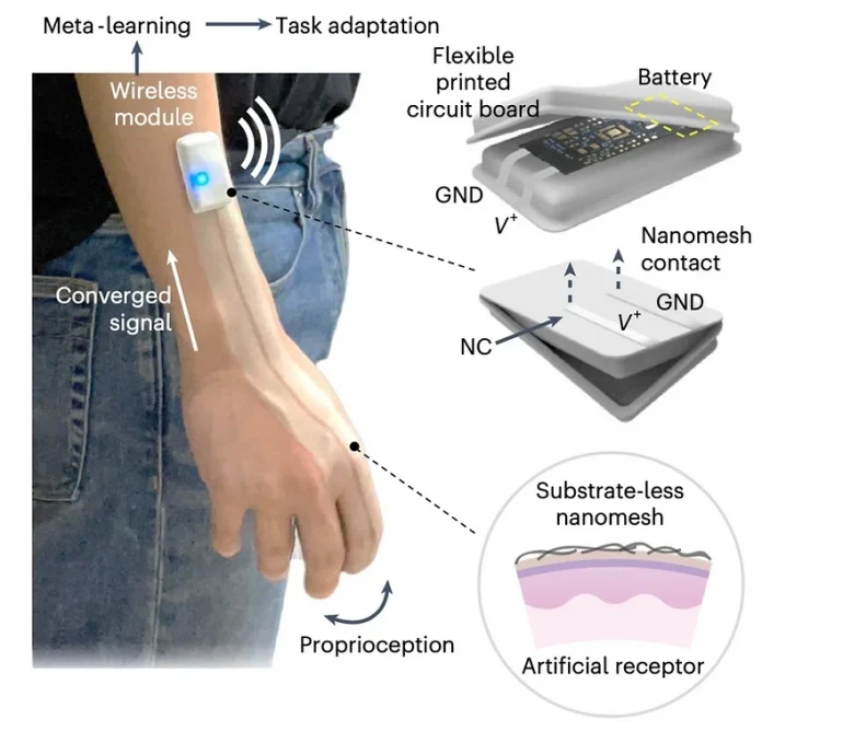 Schéma expliquant le fonctionnement de la peau synthétique intelligente.