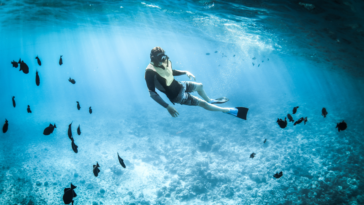 Les meilleures innovations de plongée et de snorkeling
