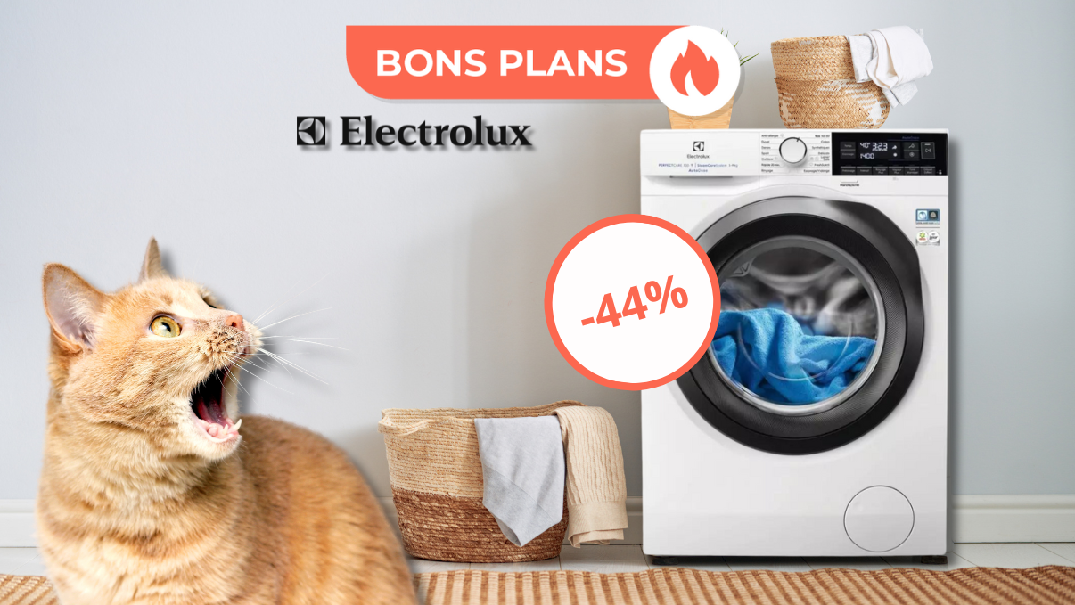 chat surpris par la promo sur le lave-linge electrolux
